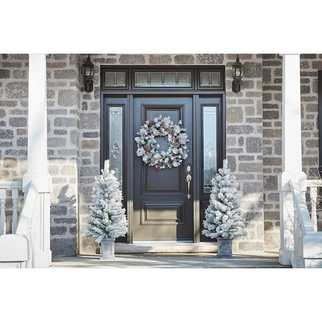 Holiday Living Set Of Two 4-ft Pre-Lit Frosted Porch Christmas Trees 4 Holiday Living Set Of Two 4-ft Pre-Lit Frosted Porch Christmas Trees - Image 2