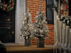Holiday Living Set Of Two 4-ft Pre-Lit Frosted Porch Christmas Trees 8 Holiday Living Set Of Two 4-ft Pre-Lit Frosted Porch Christmas Trees -Northlight Sales Store 17745124c