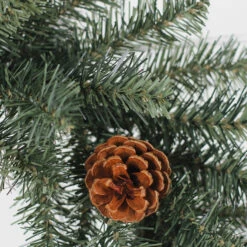 Northlight Sales Store -Northlight Sales Store 32016538b