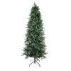 Northlight Washington Frasier Fir Slim Artificial Christmas Tree - 9' - Unlit - Green -Northlight Sales Store 330690983 MainImage 001 l