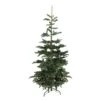 Northlight Slim Layered Noble Fir Artificial Christmas Tree - Unlit - 7.5-ft -Northlight Sales Store 330748770 MainImage 001