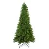 Northlight Pre-Lit Slim Eastern Pine Artificial Christmas Tree - Clear Lights - 10-ft