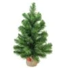 Northlight Mini Pine Medium Artificial Christmas Tree In Burlap Base - Unlit -18-in -Northlight Sales Store 330748826 MainImage 001