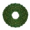 Northlight Pre-Lit Olympia Pine Artificial Christmas Wreath - Clear Lights - 60-in -Northlight Sales Store 330748854 MainImage 001