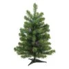 Northlight Pre-Lit Medium Canadian Pine Artificial Christmas Tree - Multicolor Lights - 2-ft 1 Northlight Pre-Lit Medium Canadian Pine Artificial Christmas Tree - Multicolor Lights - 2-ft -Northlight Sales Store 330748864 MainImage 001