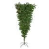 Northlight Pre-Lit Medium Spruce Upside Down Artificial Christmas Tree - 5.5-ft -Northlight Sales Store 330748881 MainImage 001