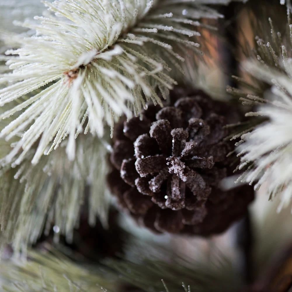 Vickerman 3-ft Leg Base Bellevue Pine Full Right Side Up Green Artificial Christmas Tree 4 Vickerman 3-ft Leg Base Bellevue Pine Full Right Side Up Green Artificial Christmas Tree - Image 2