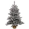 Vickerman 3.5-ft Burlap Base Pine Full Right Side Up Flocked White Artificial Christmas Tree 1 Vickerman 3.5-ft Burlap Base Pine Full Right Side Up Flocked White Artificial Christmas Tree -Northlight Sales Store 330899046 MainImage 001