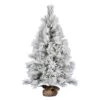 Vickerman 4-ft Burlap Base Full Pine Right Side Up Flocked Green Artificial Christmas Tree -Northlight Sales Store 330899060 MainImage 001