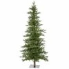 Vickerman 6-ft Leg Base Grand Fir Full Right Side Up Green Artificial Christmas Tree -Northlight Sales Store 330899064 MainImage 001