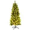 Costway 5-ft Slim Green Artificial Christmas Tree 1 Costway 5-ft Slim Green Artificial Christmas Tree -Northlight Sales Store 330902757 MainImage 001