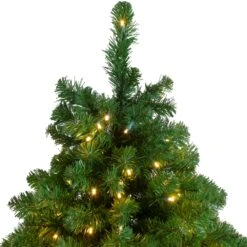 Northlight 7.5-ft Slim Olympia Pine Pre-Lit Artificial Christmas Tree With Warm White Lights -Northlight Sales Store 330933100 AlternateImage3