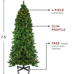 Northlight 7.5-ft Slim Olympia Pine Pre-Lit Artificial Christmas Tree With Warm White Lights -Northlight Sales Store 330933100 AlternateImage4
