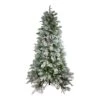 Northlight 7.5-ft Full Flocked Colorado Pine Artificial Christmas Tree - Unlit 2 Northlight 7.5-ft Full Flocked Colorado Pine Artificial Christmas Tree - Unlit -Northlight Sales Store 330933169 MainImage 001