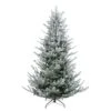 Northlight 6.5-ft Flocked Little River Fir Artificial Christmas Tree - Unlit 2 Northlight 6.5-ft Flocked Little River Fir Artificial Christmas Tree - Unlit -Northlight Sales Store 330933237 MainImage 001
