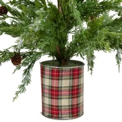 Northlight 2-ft Iced Cedar Unlit Artificial Christmas Tree In Plaid Pot -Northlight Sales Store 330933240 AlternateImage1