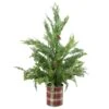 Northlight 2-ft Iced Cedar Unlit Artificial Christmas Tree In Plaid Pot 2 Northlight 2-ft Iced Cedar Unlit Artificial Christmas Tree In Plaid Pot -Northlight Sales Store 330933240 MainImage 001