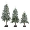 Northlight 5-ft Flocked Alpine Unlit Artificial Christmas Trees - Set Of 3 2 Northlight 5-ft Flocked Alpine Unlit Artificial Christmas Trees - Set Of 3 -Northlight Sales Store 330933255 MainImage 001