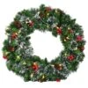 Costway 24-in Pre-Lit Indoor/Outdoor Battery-Operated Green Berry Artificial Christmas Wreath With Warm White LED -Northlight Sales Store 331054222 MainImage 001