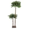 Northlight 6-ft Pre-Lit Tropical Palm Tree Artificial Christmas Tree - Clear Lights 1 Northlight 6-ft Pre-Lit Tropical Palm Tree Artificial Christmas Tree - Clear Lights -Northlight Sales Store 331054324 MainImage 001