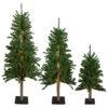 Northlight 5-ft Pre-Lit Slim Alpine Artificial Christmas Trees - Set Of 3 -Northlight Sales Store 331054405 MainImage 001