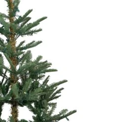 Northlight 6.5-ft Pre-Lit Nordmann Fir Artificial Christmas Tree Warm Clear LED Lights -Northlight Sales Store 331054422 AlternateImage2