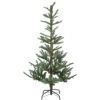 Northlight 6.5-ft Pre-Lit Nordmann Fir Artificial Christmas Tree Warm Clear LED Lights -Northlight Sales Store 331054422 MainImage 001