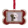 Northlight 3-in Red And Silver-Plated Best Dog Bone Christmas Ornament 1 Northlight 3-in Red And Silver-Plated Best Dog Bone Christmas Ornament -Northlight Sales Store 331054508 MainImage 001