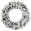 Northlight Pre-lit Madison Pine Artificial Christmas Wreath -Northlight Sales Store 331054510 MainImage 001