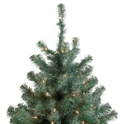 Northlight 7.5-ft Pre-Lit Colourado Blue Spruce Artificial Christmas Tree Clear Lights -Northlight Sales Store 331054528 AlternateImage2