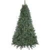 Northlight 7.5-ft Pre-Lit Colourado Blue Spruce Artificial Christmas Tree Clear Lights -Northlight Sales Store 331054528 MainImage 001