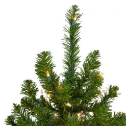 Northlight 5-ft Pre-Lit Medium Canadian Pine Artificial Christmas Tree Clear Lights -Northlight Sales Store 331054541 AlternateImage2