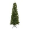 Santa's Workshop 6.5-ft Green Artificial Christmas Tree 2 Santa's Workshop 6.5-ft Green Artificial Christmas Tree -Northlight Sales Store 331058116 MainImage 001 l
