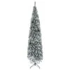 HOMCOM 9-ft Slim Unlit Pine Snow Flocked Artificial Christmas Hinged Tree 2 HOMCOM 9-ft Slim Unlit Pine Snow Flocked Artificial Christmas Hinged Tree -Northlight Sales Store 331061770 MainImage 001