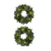 Brookdale Treeland Nurseries 28-in Fresh Christmas Wreath - Set Of 2