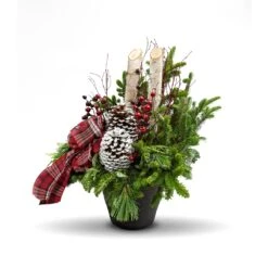 Brookdale Treeland Nurseries 30-in Christmas Potted Greenery Arrangement -Northlight Sales Store 331063542 AlternateImage2
