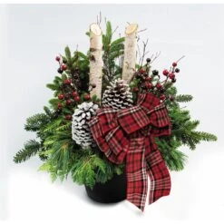 Brookdale Treeland Nurseries 30-in Christmas Potted Greenery Arrangement