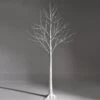 Costway 5-ft Pre-Lit White Twig Birch Tree For Christmas Holiday With 72 LED Lights -Northlight Sales Store 331065192 MainImage 001