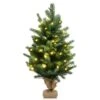 Costway 24-in Pre-Lit Tabletop Fir Artificial Christmas Tree With 35 LED Lights And Timer -Northlight Sales Store 331065232 MainImage 001
