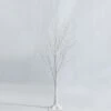 Costway 4-ft Pre-Lit White Twig Birch Tree For Christmas Holiday With 48 LED Lights -Northlight Sales Store 331065249 MainImage 001