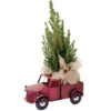 Tropi Co 22-in Pickup Decor And Live Mini Christmas Tree -Northlight Sales Store 331065422 MainImage 001