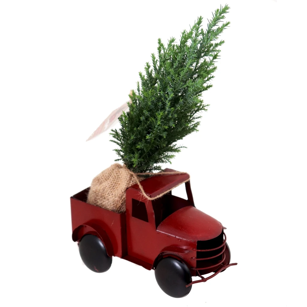 Tropi Co 12-in Pickup Decor And Live Mini Christmas Tree - Set Of 4 4 Tropi Co 12-in Pickup Decor And Live Mini Christmas Tree - Set Of 4 - Image 2