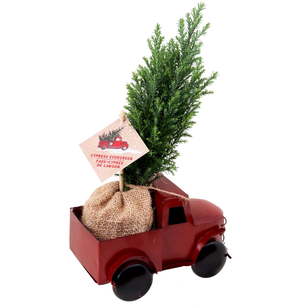 Tropi Co 12-in Pickup Decor And Live Mini Christmas Tree - Set Of 4 5 Tropi Co 12-in Pickup Decor And Live Mini Christmas Tree - Set Of 4 - Image 3