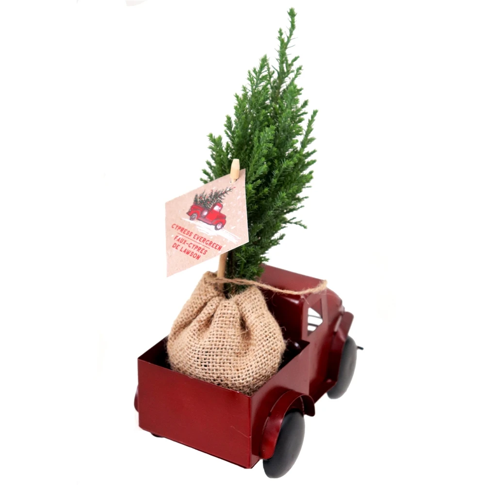 Tropi Co 12-in Pickup Decor And Live Mini Christmas Tree - Set Of 4 6 Tropi Co 12-in Pickup Decor And Live Mini Christmas Tree - Set Of 4 - Image 4