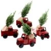 Tropi Co 12-in Pickup Decor And Live Mini Christmas Tree - Set Of 4 -Northlight Sales Store 331065423 MainImage 001
