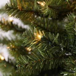 Holiday Living 5-ft Pre-Lit Artificial Bristen Spruce Christmas Tree With 200 Incadescent Lights -Northlight Sales Store 43255068d