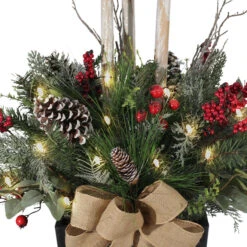 Holiday Living 50-in Pre-Lit Potted Christmas Plant With 25 LED Lights -Northlight Sales Store 43445229c