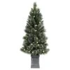 Holiday Living Christmas Tree Illuminated 242 Glittered LED 4.5-ft -Northlight Sales Store 50175157